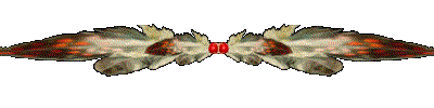 http://angelwolfdesigns.com/TFS/tfs2/Native-American-Divider4.gif