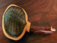 turtle rattle